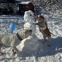 Thumbnail photo of Babette #4