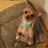 Thumbnail photo of Xyla Daisy Mae #2