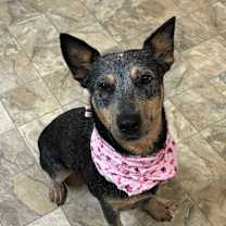 Thumbnail photo of Zola #2