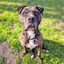 Thumbnail photo of Tristan #1