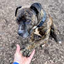 Thumbnail photo of Tristan #3