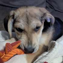 Thumbnail photo of Derrick #3