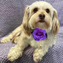 Thumbnail photo of Jenny #2