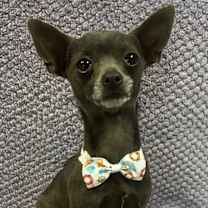 Thumbnail photo of Tyler #1