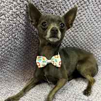 Thumbnail photo of Tyler #2