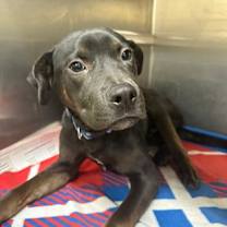 Thumbnail photo of Small Fry #1