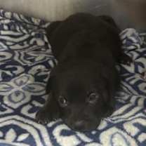 Thumbnail photo of Small Fry #2