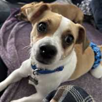 Thumbnail photo of Max #1