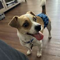 Thumbnail photo of Max #2