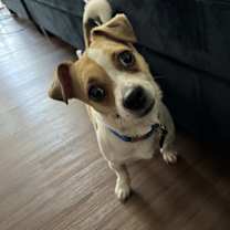 Thumbnail photo of Max #3