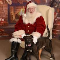 Thumbnail photo of Carl #1