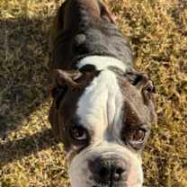 Thumbnail photo of Earl #2