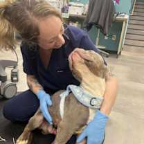 Thumbnail photo of Malcolm #2