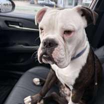 Thumbnail photo of Callum #2