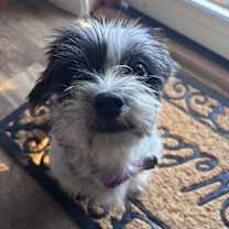 Thumbnail photo of Memaw #2