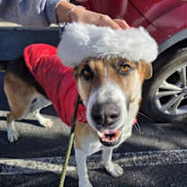 Thumbnail photo of Myers #1