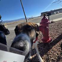 Thumbnail photo of Myers #3