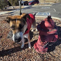 Thumbnail photo of Myers #4