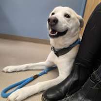 Thumbnail photo of Summit #2