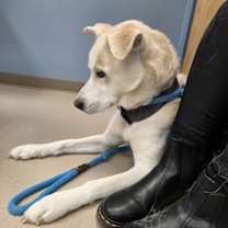 Thumbnail photo of Summit #4