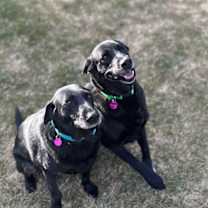 Thumbnail photo of Lane #1