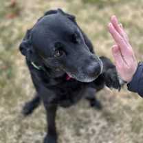 Thumbnail photo of Lane #2