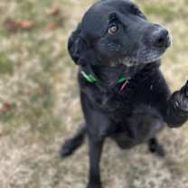 Thumbnail photo of Lane #3