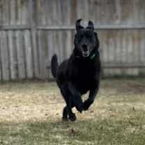 Thumbnail photo of Lane #4