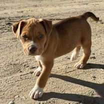 Thumbnail photo of Arthur #4