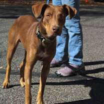 Thumbnail photo of Dan #1