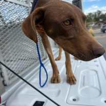 Thumbnail photo of Dan #2