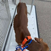 Thumbnail photo of Dan #3