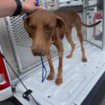 Thumbnail photo of Dan #4