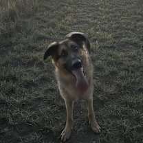 Thumbnail photo of Ulysses #3