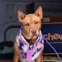 Thumbnail photo of Freya #1