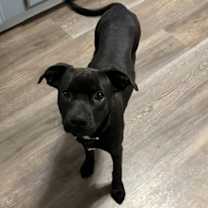 Thumbnail photo of Peggy #2