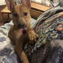 Thumbnail photo of Kiara #2