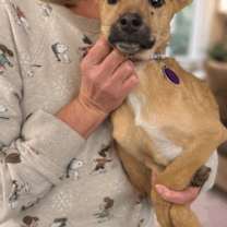 Thumbnail photo of Kiara #3