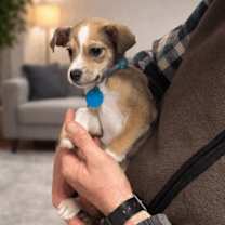 Thumbnail photo of Azura #3