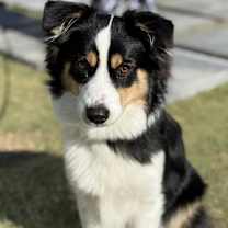 Thumbnail photo of Emma #2