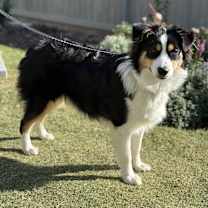 Thumbnail photo of Emma #3