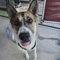 Thumbnail photo of Zoe #3