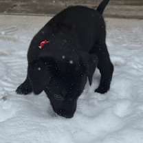 Thumbnail photo of Sunshine #2