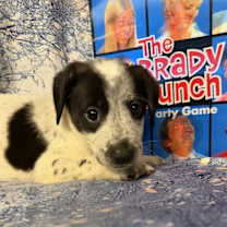 Thumbnail photo of Marsha #4