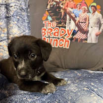 Thumbnail photo of Bobby #4