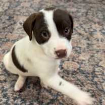 Thumbnail photo of Colin #1