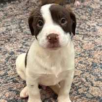 Thumbnail photo of Colin #2