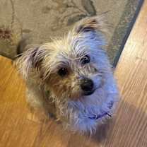 Thumbnail photo of Rabbit Race #2