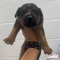 Thumbnail photo of Lee #2