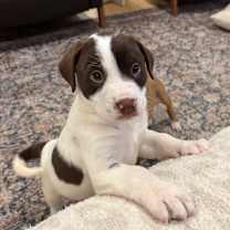 Thumbnail photo of Colin #3